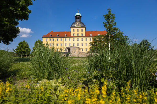 Schlosspark Moritzburg Zeitz - Blick auf Moritzburg_Juni 2021