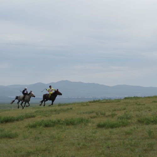 Das Bild zeigt Reiter, die über die mongolische Steppe preschen.