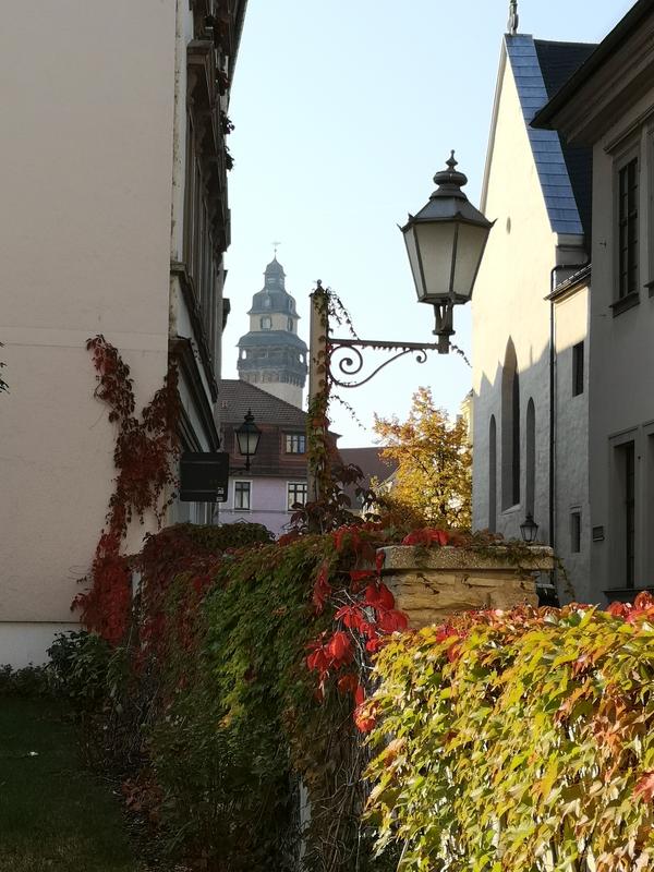 Blick vom Neumarkt 1 zum Rathausturm