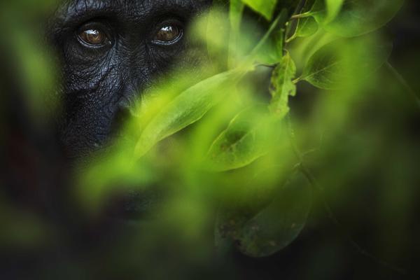 Ausstellung_Glanzlichter-der-Naturfotografie_Foto-FlorianSmit