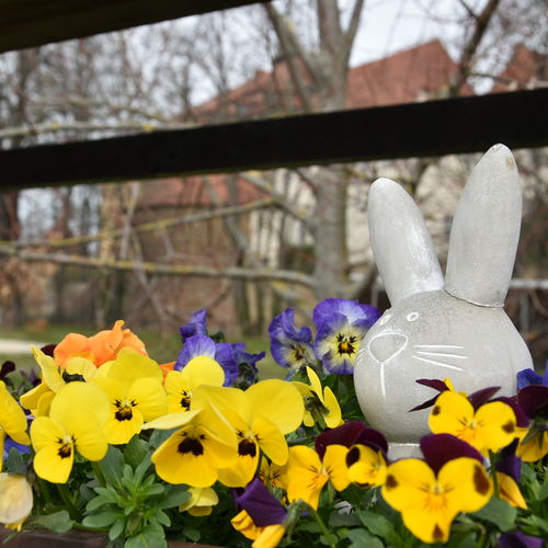 Schlosspark Moritzburg Zeitz_Osterdeko Hase_1 (c) Stadt Zeitz