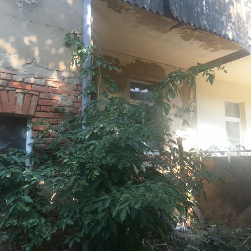 Rudolf-Breitscheid-Strasse 14 Bild 7