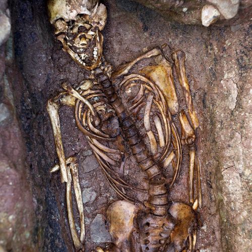Auch unter den Fußböden des Brüdersaals wurden Bestattungen gefunden, wie die eines Mannes wohl aus dem 14. oder 15. Jahrhundert.
