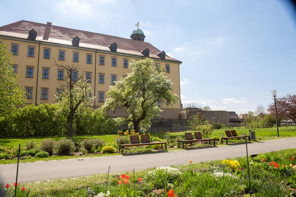 Frhling im Schlosspark Moritzburg Zeitz