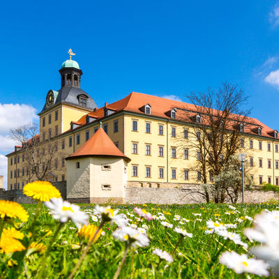 Auenansicht des Schloss Moritzburg von Sdwest