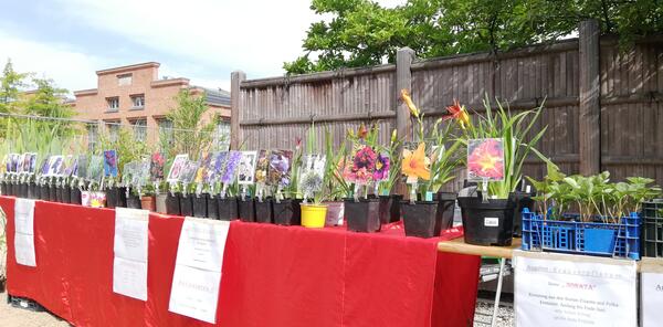 Pflanzenflohmarkt