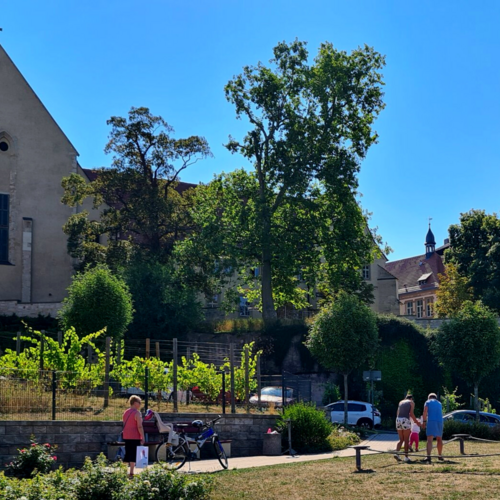 Siegerfoto Fotowettbewerb Stdtebaufrderung_ Franziskanerkloster und Evangelische Grundschule am 11.08.2022.png