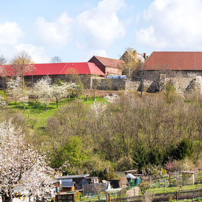 Blick auf Kloster Posa im Frühling