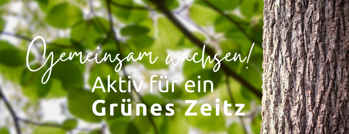 Grünes Zeitz_Banner