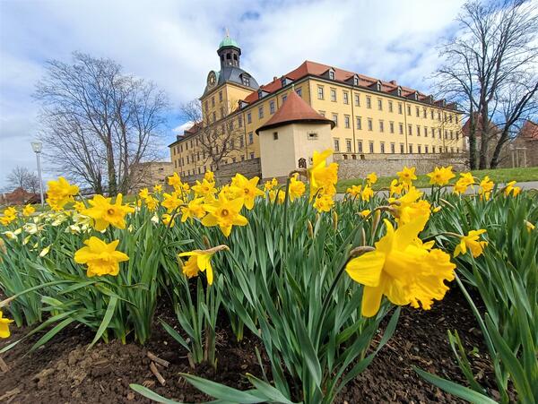 06 - Vorbereitung Saisonstart Schlosspark