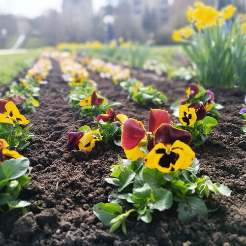 03 - Vorbereitung Saisonstart Schlosspark