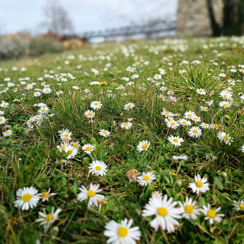 07 - Vorbereitung Saisonstart Schlosspark