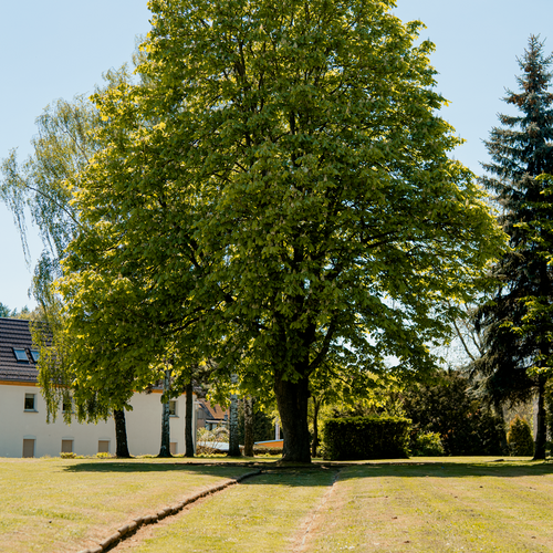 Der Teufel auf dem Kaynaer Schloss