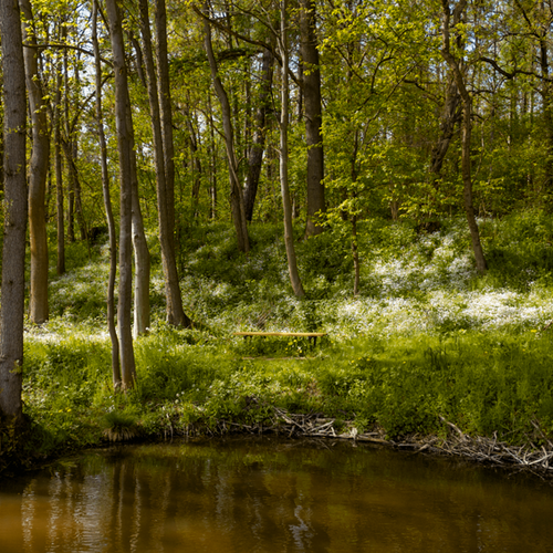 Das Untier vom Milchteich