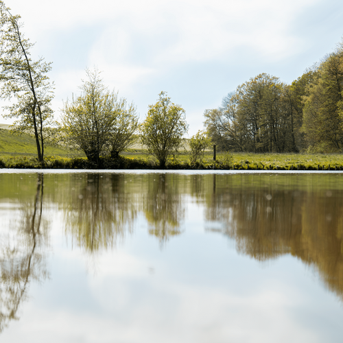Das Untier vom Milchteich