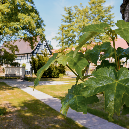 Park am Pflugrädchen
