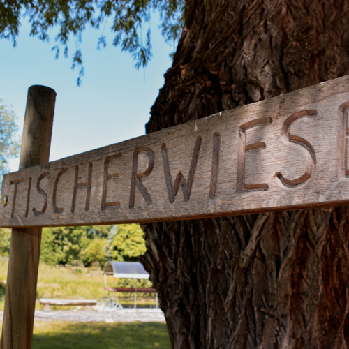 Die Tischerwiese in Loitsch