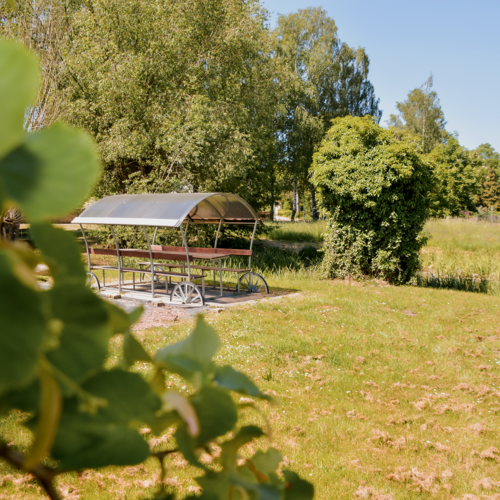 Die Tischerwiese in Loitsch
