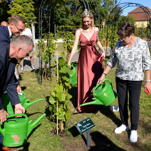 16 - Zeitz feiert Weinfest und krt neue Weinprinzessin