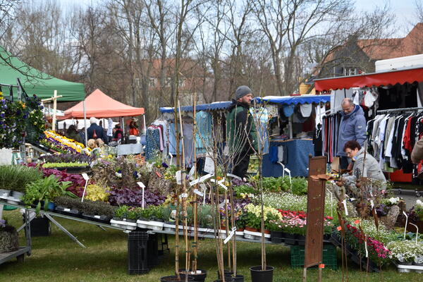 Stand mit Pflanzen zum Frühlingsmarkt im Schlosspark