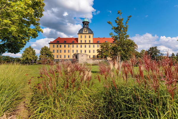 Blick aus dem Schlosspark zum Schloss Moritzburg Zeitz