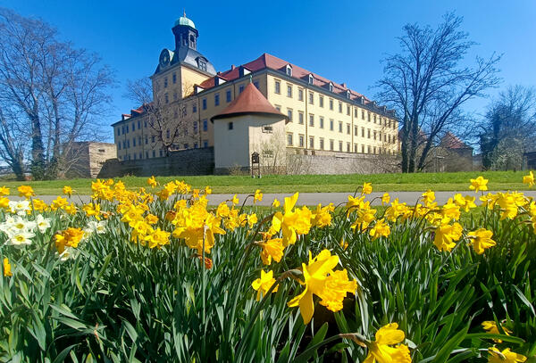 Museum im Schloss Moritzburg