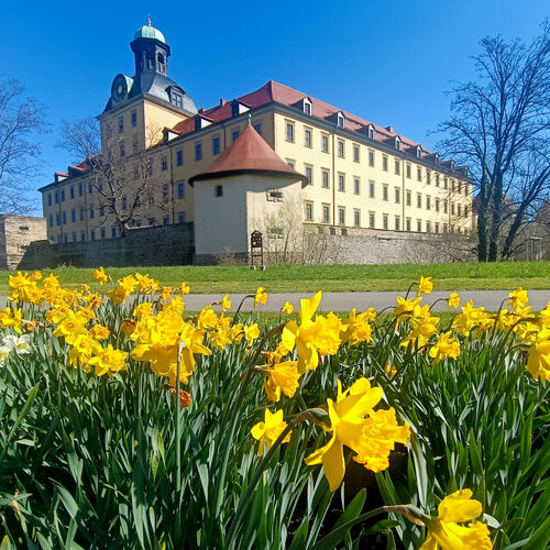 Museum im Schloss Moritzburg