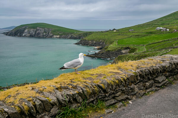 Irland - Foto Daniel Drößler