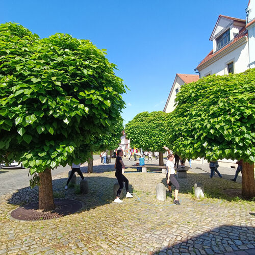 08 - Eröffnung Gassengang