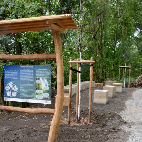 Foto 03 - Neugestaltung der ehemaligen Gartenanlage Bornpromenade abgschlossen