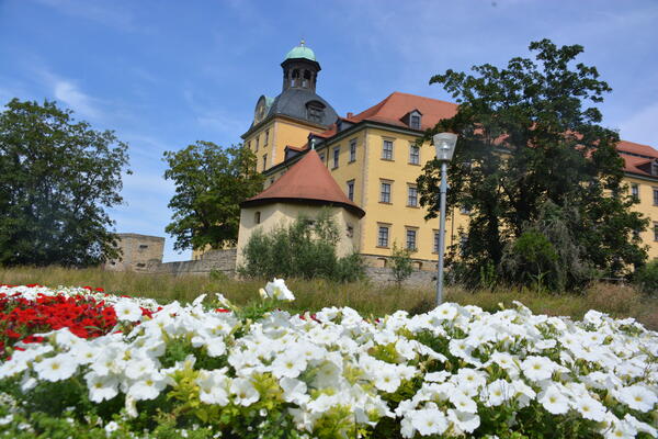 Schlosspark Moritzburg Sommer 2024