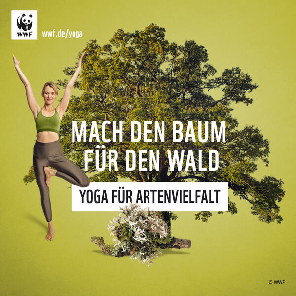WWF- Yoga für Artenvielfalt