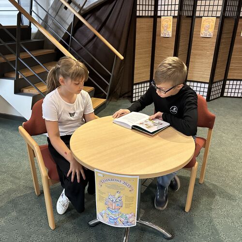 Foto 12 - Lesekönig 2025
