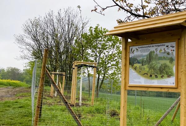 Foto 01 - Stadt schafft Wegeverbindung zur Vernetzung von Biotopen und Erhaltung von Lebensrumen 2025