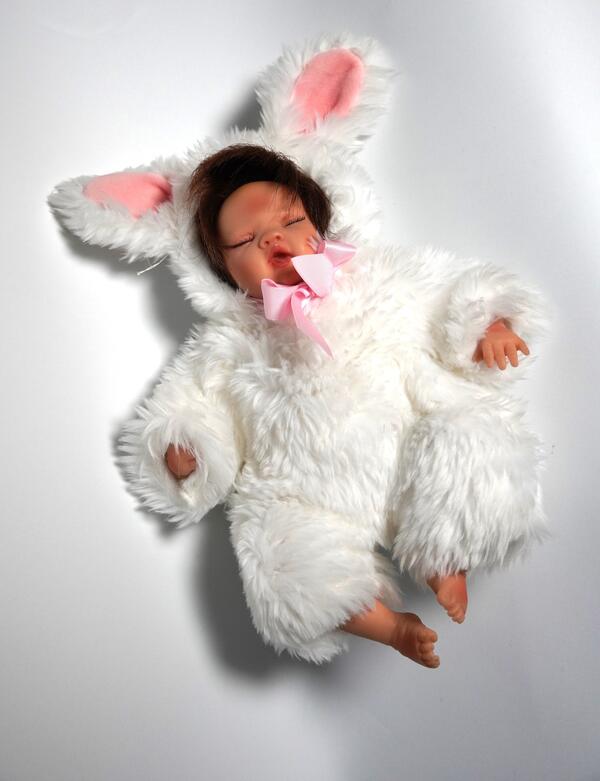 Zoll Auktion 2025 - Puppe Hase