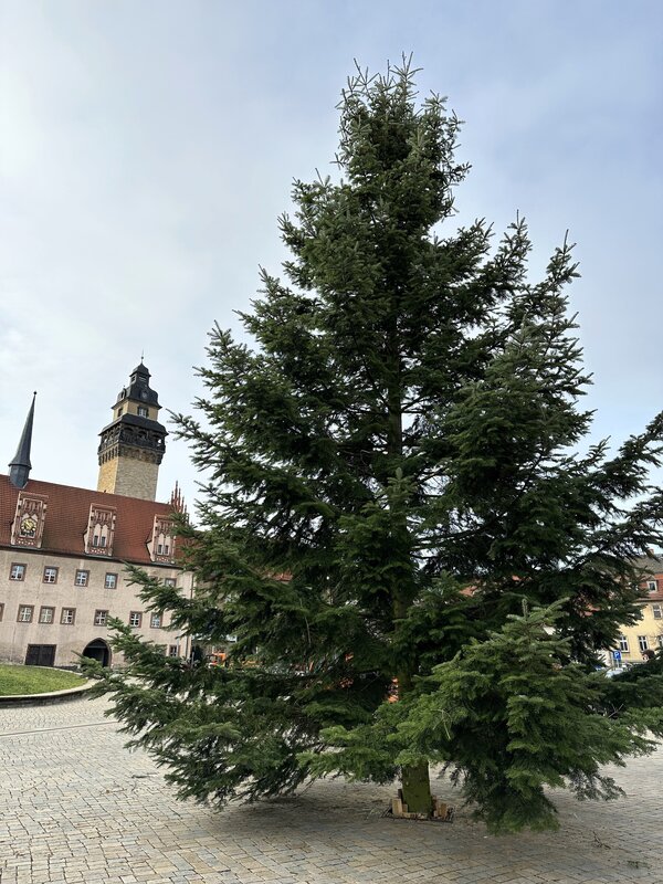 Foto 01 Weihnachtsbaum Altmarkt
