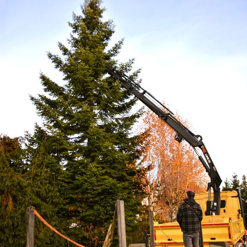 Foto 03 Weihnachtsbaum Altmarkt