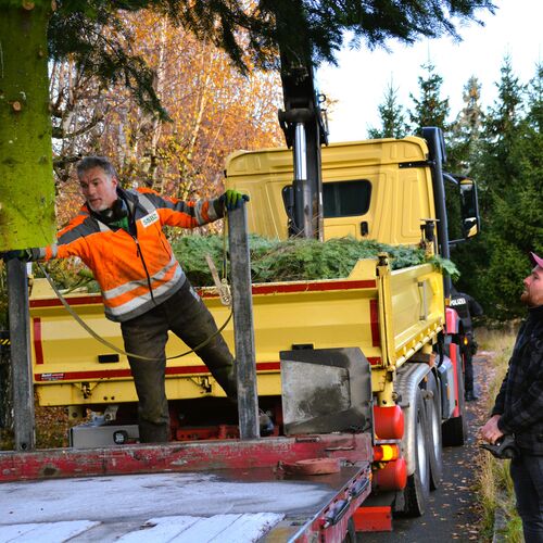 Foto 06 Weihnachtsbaum Altmarkt