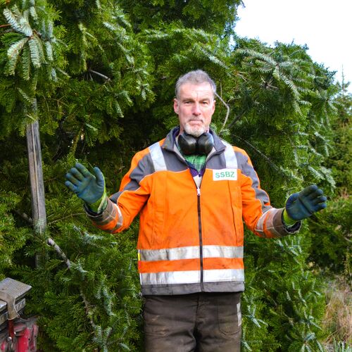 Foto 08 Weihnachtsbaum Altmarkt