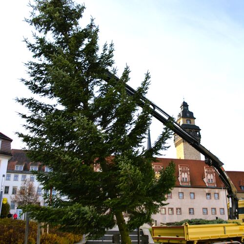 Foto 09 Weihnachtsbaum Altmarkt