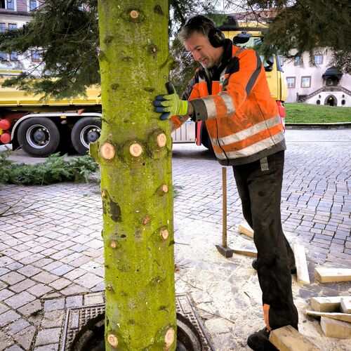 Foto 10 Weihnachtsbaum Altmarkt