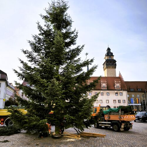 Foto 11 Weihnachtsbaum Altmarkt
