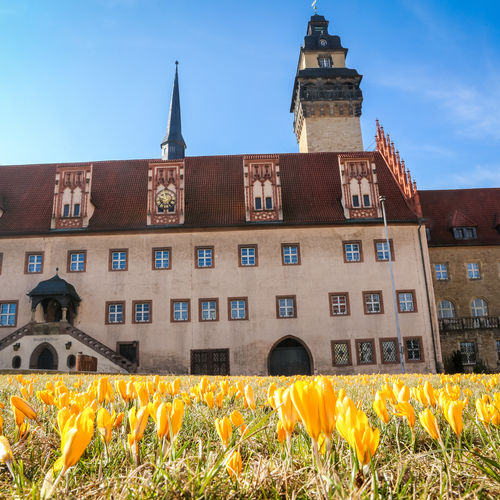 Rathaus Zeitz